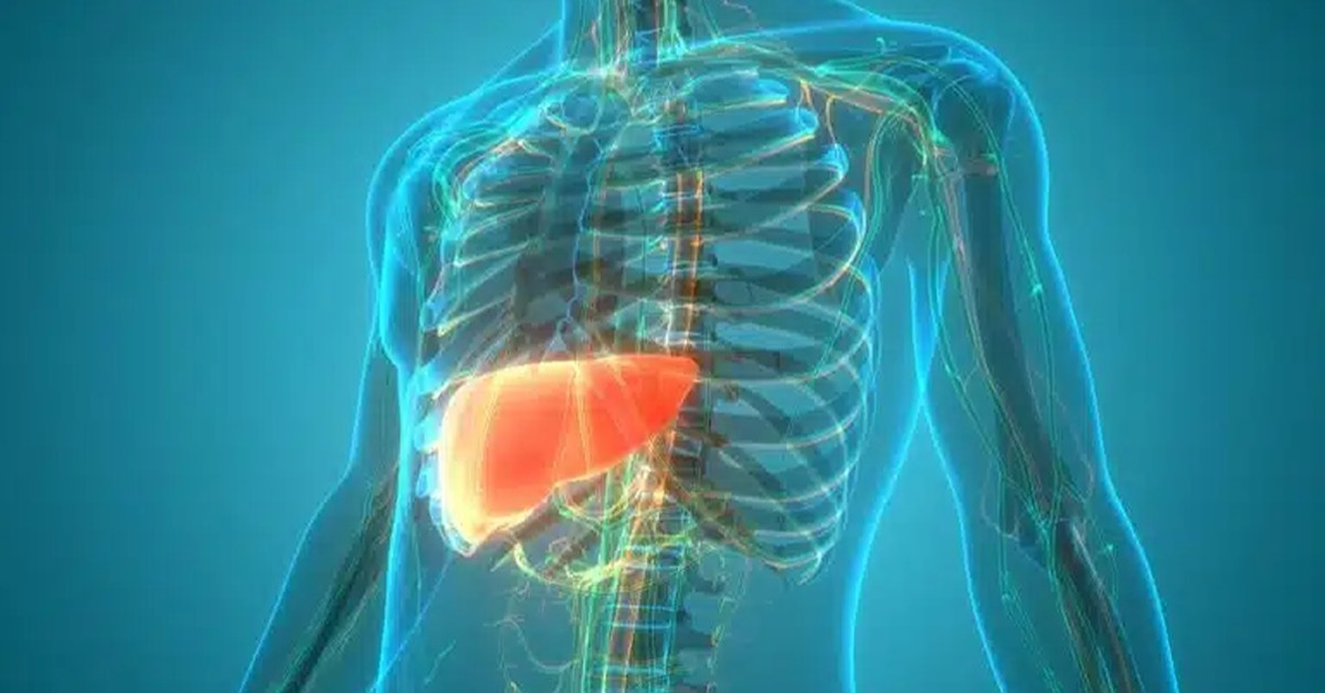 Fatty liver
