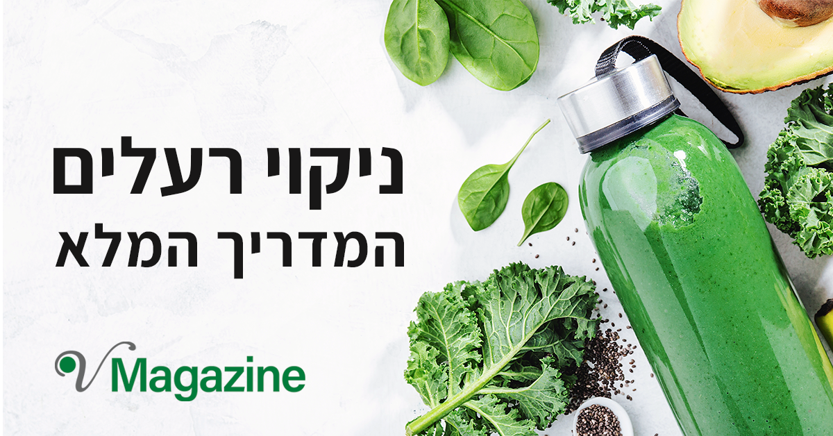 detox essay artical