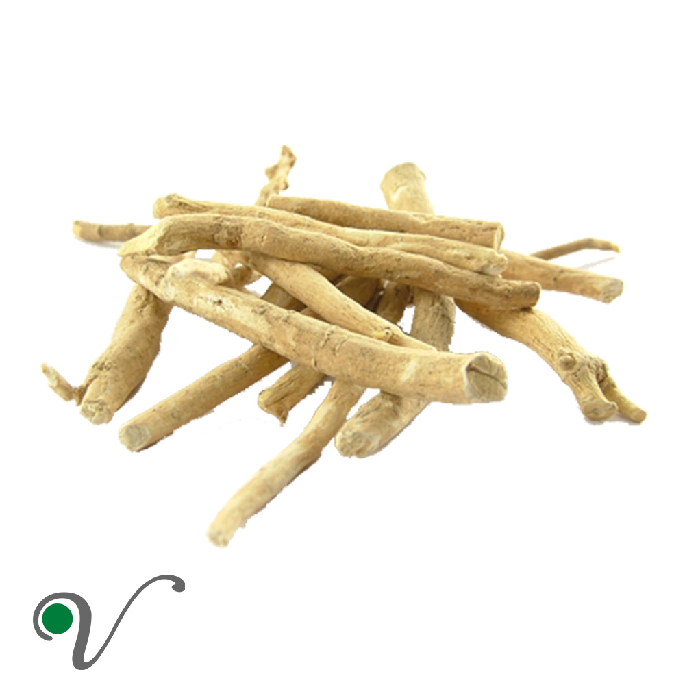 וויתניה משכרת _ Withania somnifera