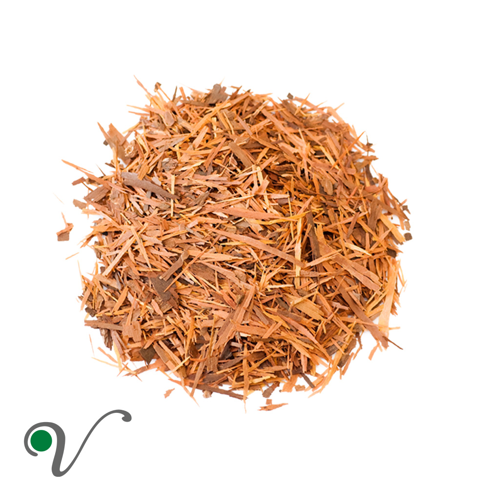 טבבויה _ Handroanthus impetiginosus