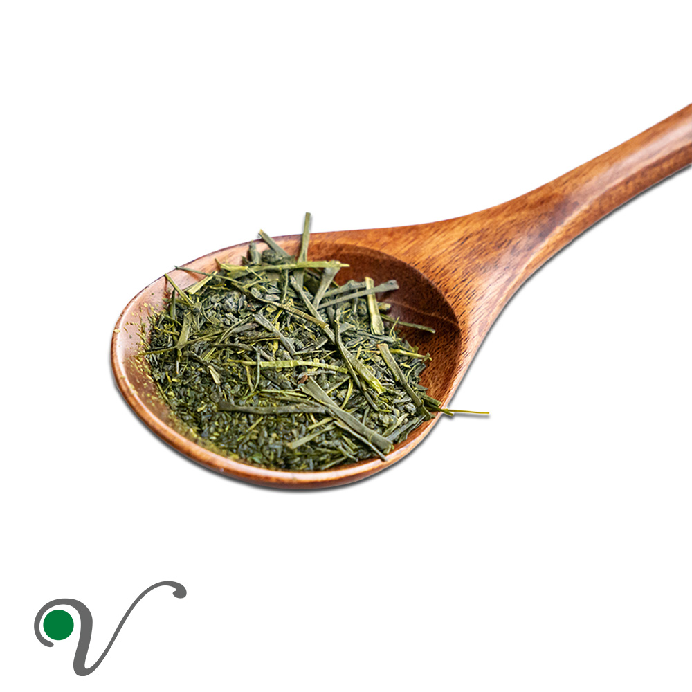 קמליה סינית, תה ירוק _ Camellia sinensis