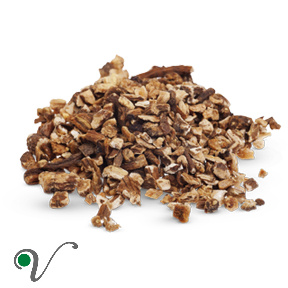 שינן - שן הארי _ Taraxacum officinale